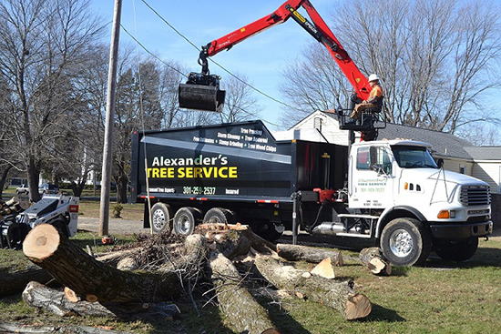 St Marys Tree Service